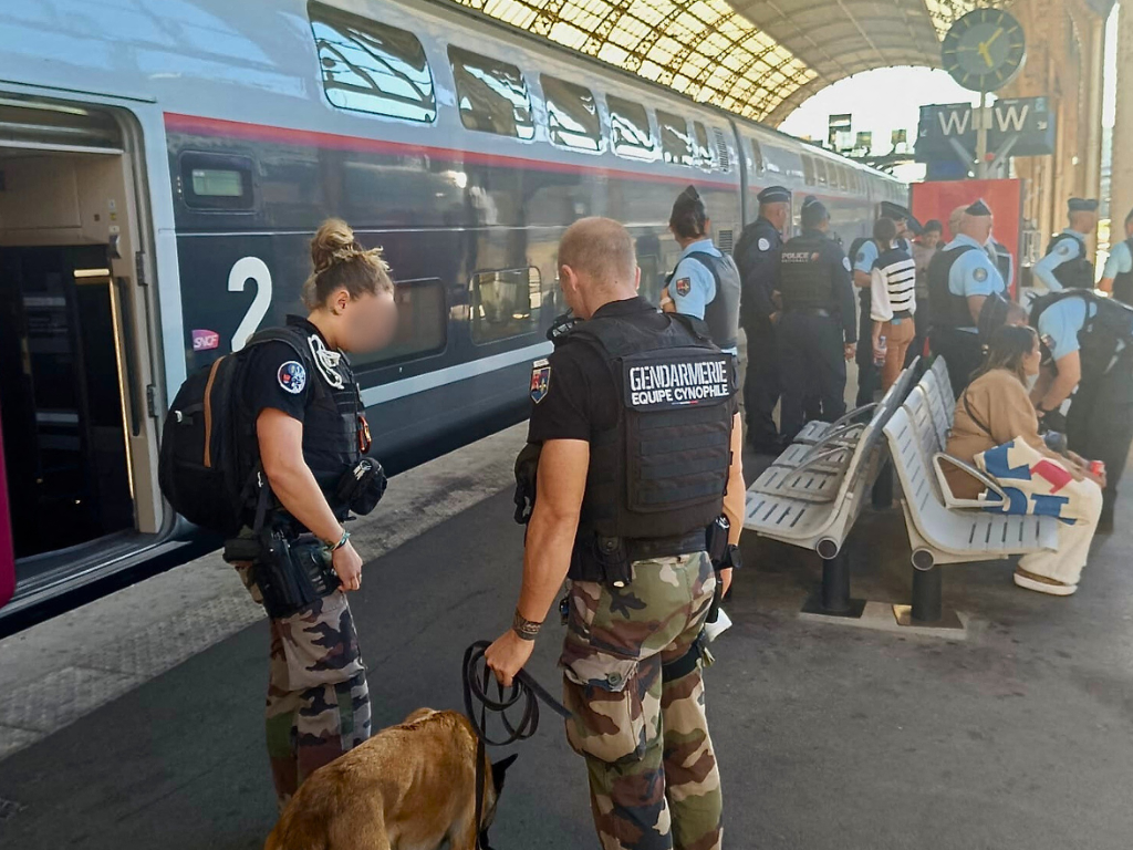 Nice. Une nouvelle unité de la gendarmerie débarque dans les transports et frappe fort