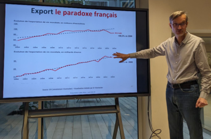 Les vignes de Bordeaux ne sont pas condamnées à l