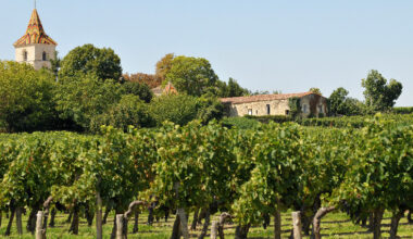 La région aide au rachat de deux châteaux bordelais