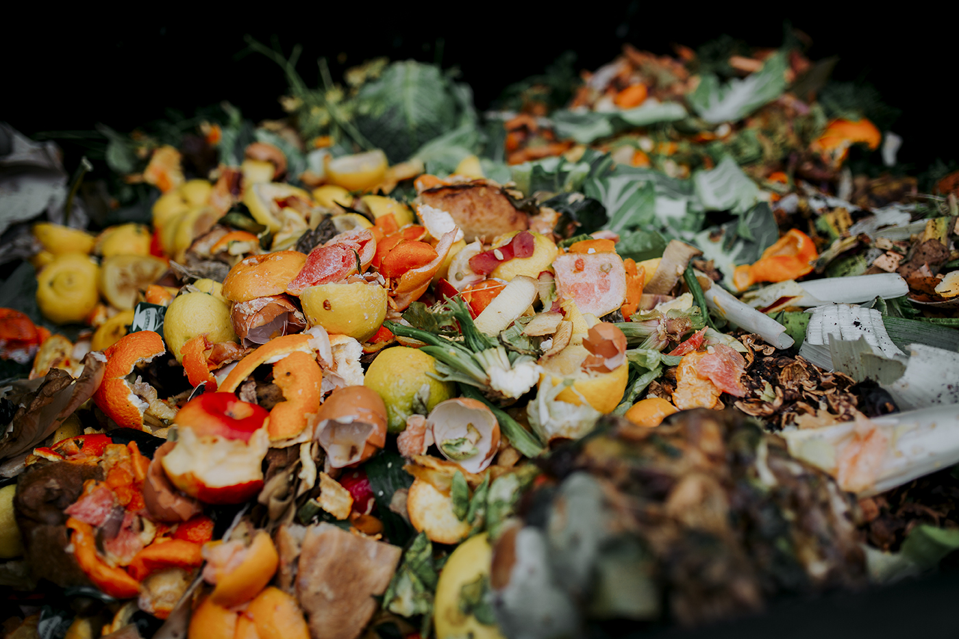 Green Phoenix compostage  3