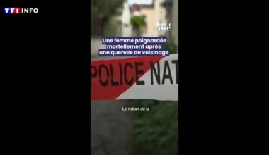 Grenoble : une femme de 24 ans tuée à l'arme blanche, sa voisine interpellée