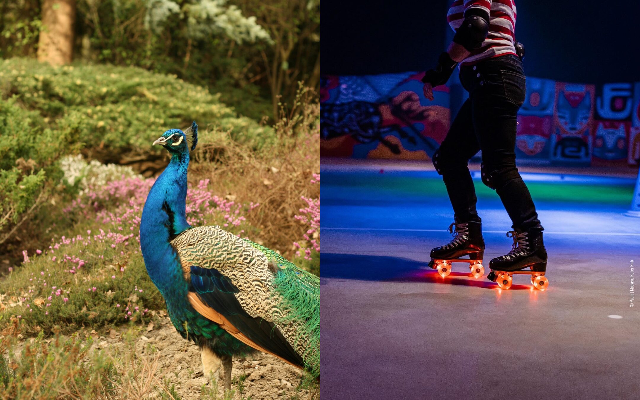 Halloween à Bordeaux avec des enfants