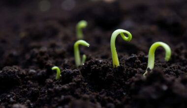 Iaownds8yx 1760092171