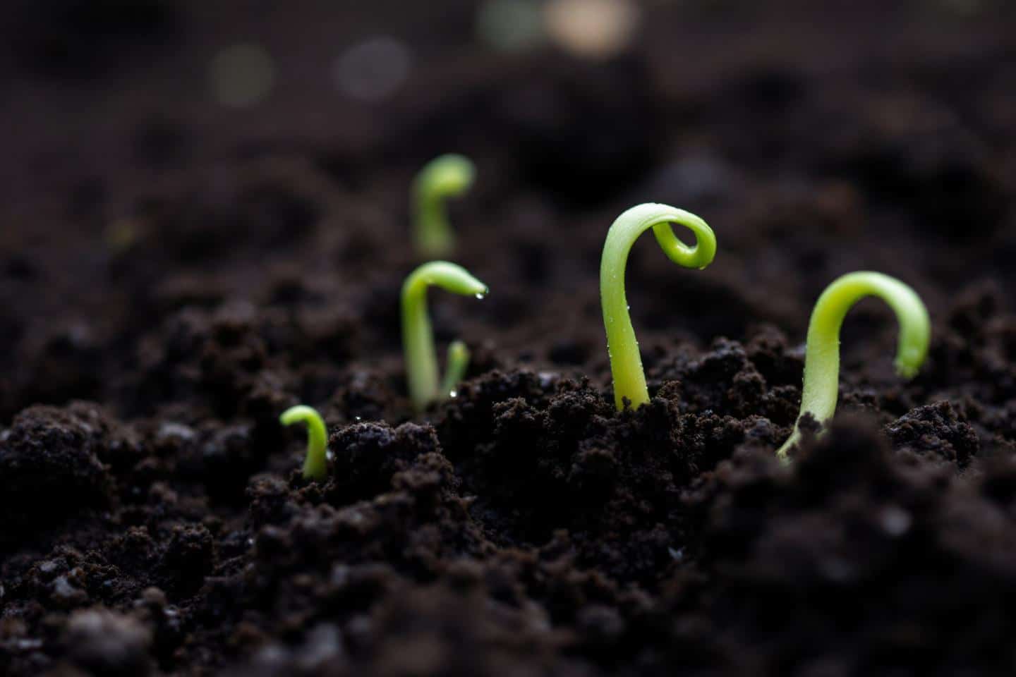 Iaownds8yx 1760092171