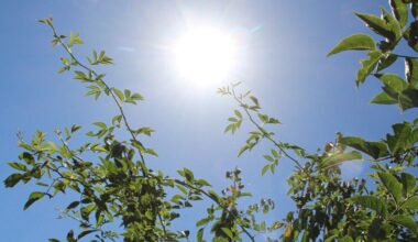 Du beau temps toute la semaine ? Le point sur la météo des prochains jours en Seine-Maritime