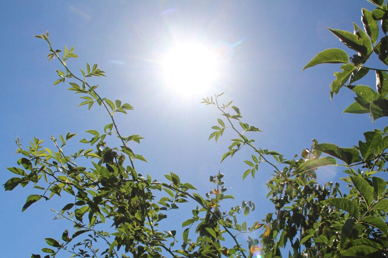Du beau temps toute la semaine ? Le point sur la météo des prochains jours en Seine-Maritime