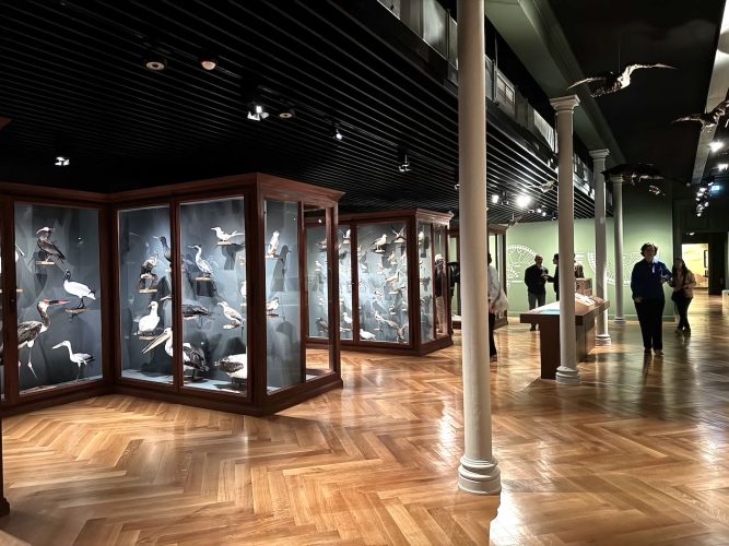 Musée zoologique