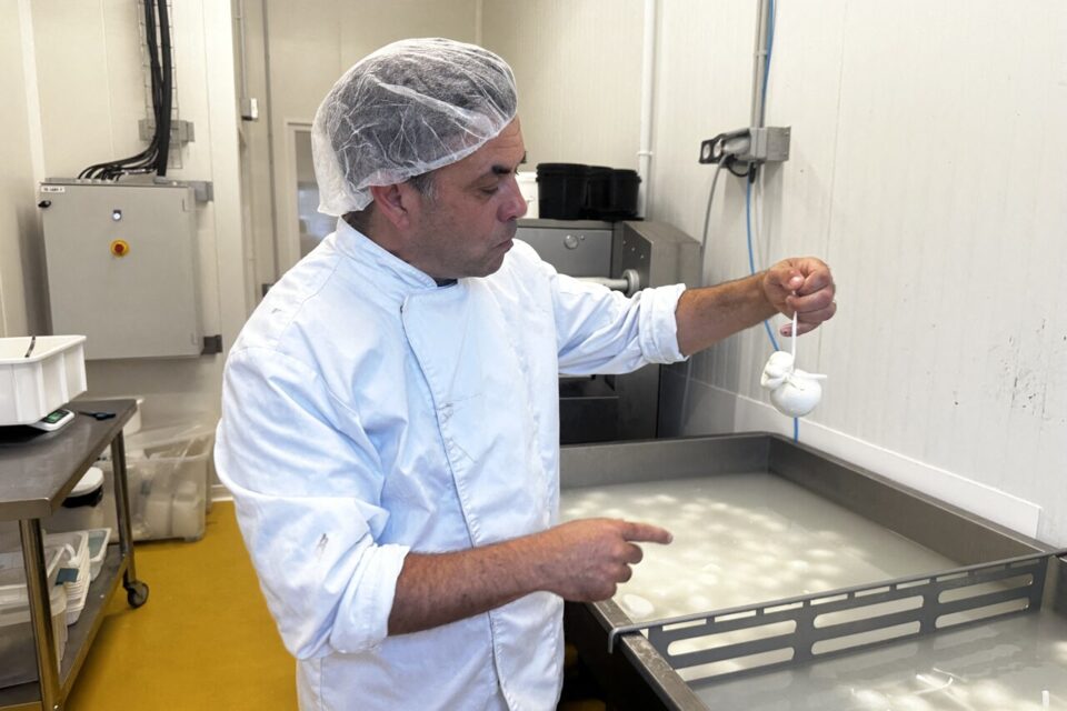 À l'heure de la dégustation... 