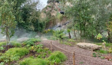 Friperie, vente de plantes, théâtre... Que faire à Nantes ce week-end ? Voici nos idées de sorties