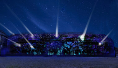 Un nouveau parcours lumineux magique va illuminer le Jardin des Plantes