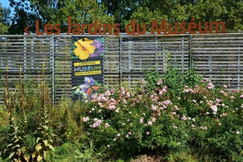 Dans les Jardins du Muséum de Toulouse, suivez les ateliers curiosité pour apprendre à confectionner une crème hydratante naturelle.