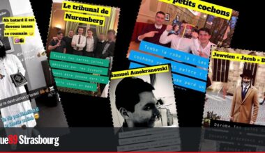 un assistant parlementaire RN exclu de toutes universités