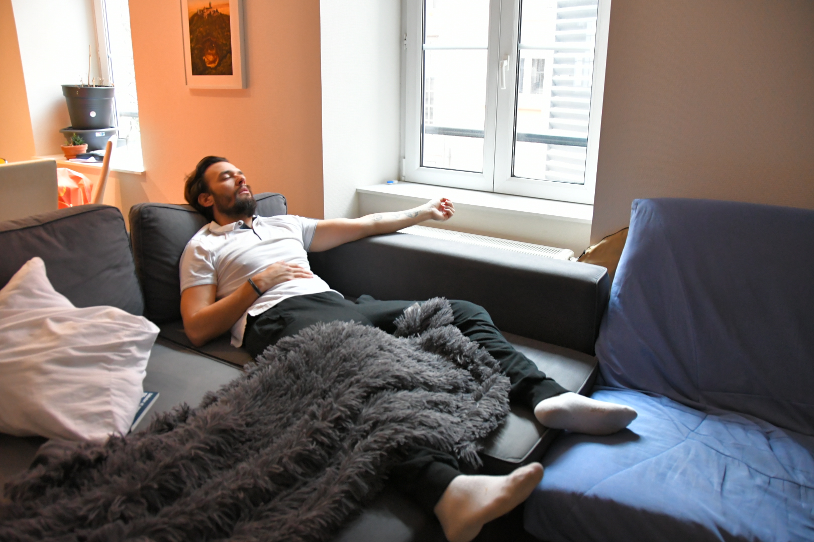 Knack:pokaa:canape:dodo