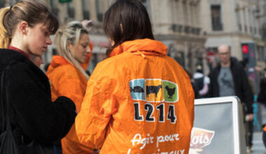 voici ce qui est prévu