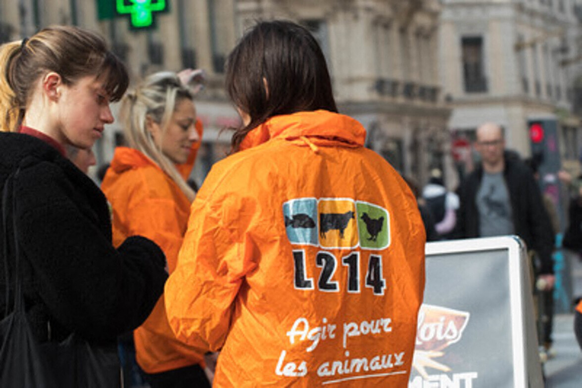 voici ce qui est prévu