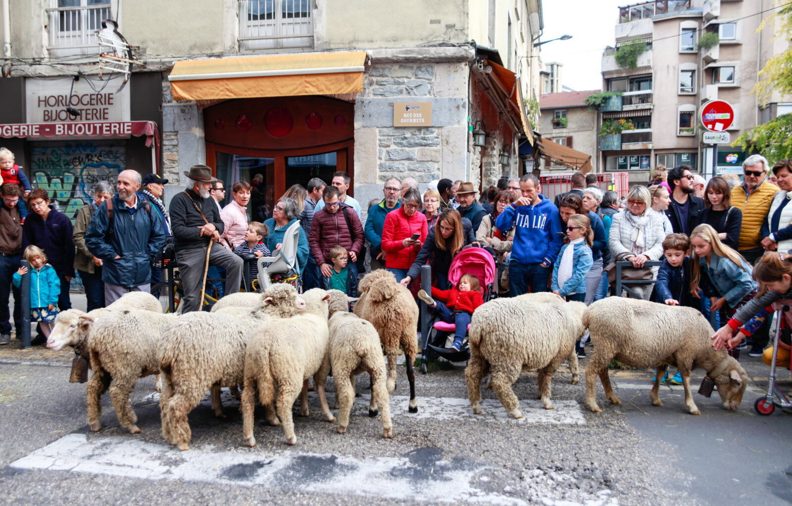 La Descente des alpages de retour à Grenoble ce week-end : tout ce qu’il faut savoir