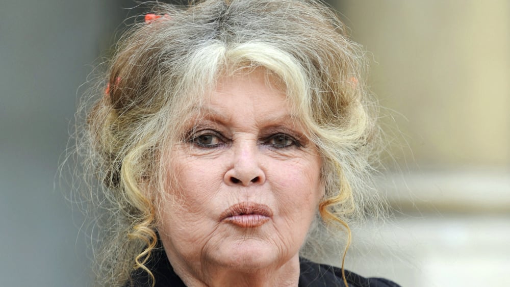 Brigitte Bardot se livre dans un "BBcédaire" écrit de sa main