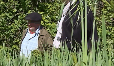 Le candidat tarnais de L'amour est dans le pré finit... dans le fossé, sous les yeux de sa belle