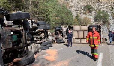 Mort de près de 60 brebis après un grave accident de camion dans les Alpes-de-Haute-Provence