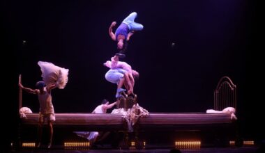 Le Cirque du Soleil jouera sept fois "Ovo" du 26 au 29 mars 2026 à Marseille