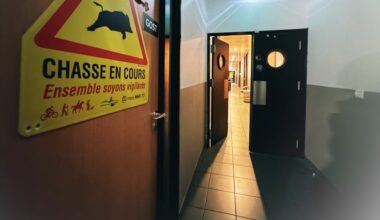 Un lot d'armes volées retrouvées dans un appartement de la cité des Marronniers à Marseille