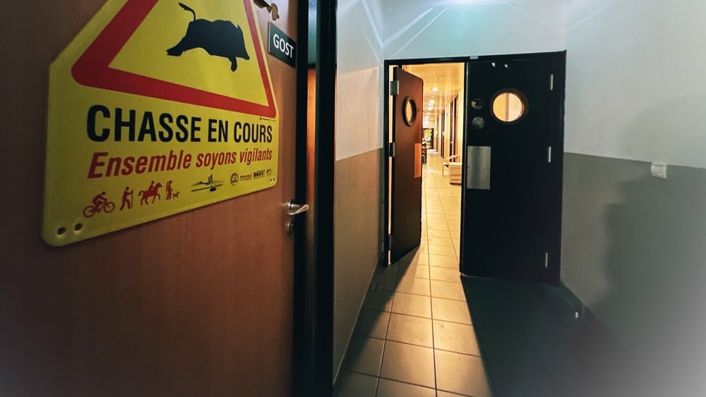 Un lot d'armes volées retrouvées dans un appartement de la cité des Marronniers à Marseille