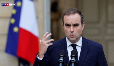 EN DIRECT - Gouvernement : Sébastien Lecornu prononcera sa déclaration de politique générale demain