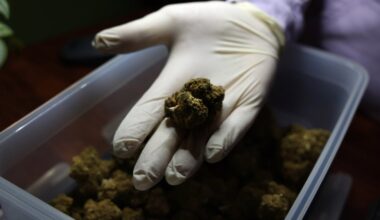 à Marseille, "plus d’une centaine" de bad trips au CBD signalés