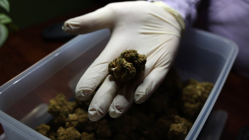 à Marseille, "plus d’une centaine" de bad trips au CBD signalés