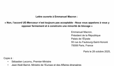 Lettre ouverte à E. Macron : « Non, l’accord UE-Mercosur n’est pas acceptable »