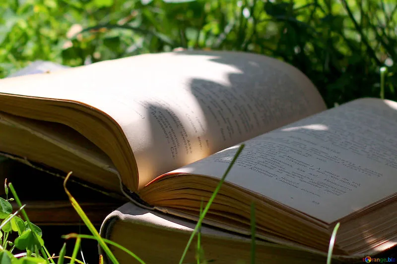 L'Île-de-France veut faire lire ses lycéens