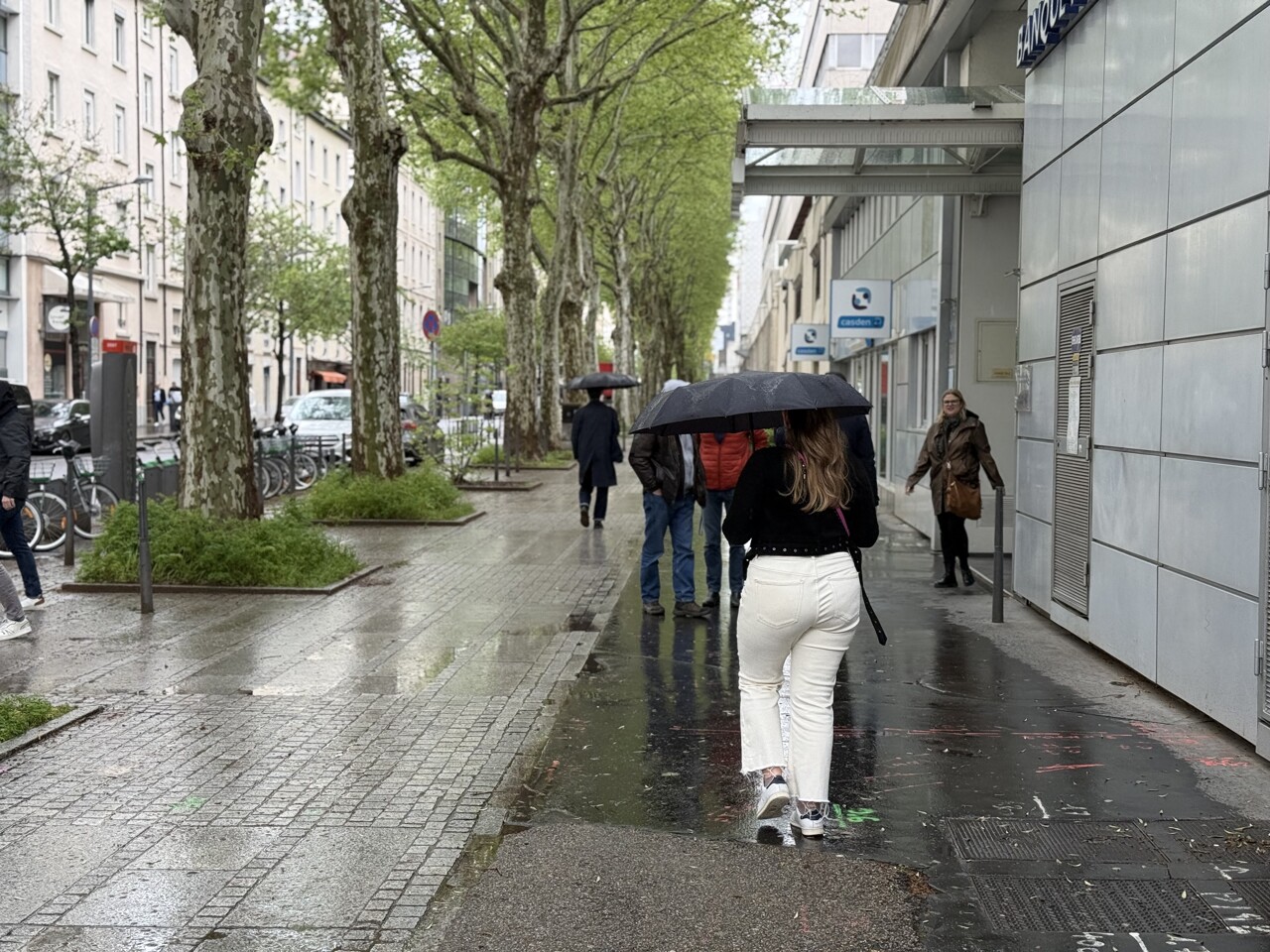 Vent, températures, pluie…. Les prévisions météo d’octobre à Lyon, ce qui vous attend