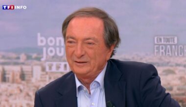 "Je veux que ça avance" : sur TF1, Michel-Édouard Leclerc opposé à de nouvelles taxes... sauf pour relancer la croissance