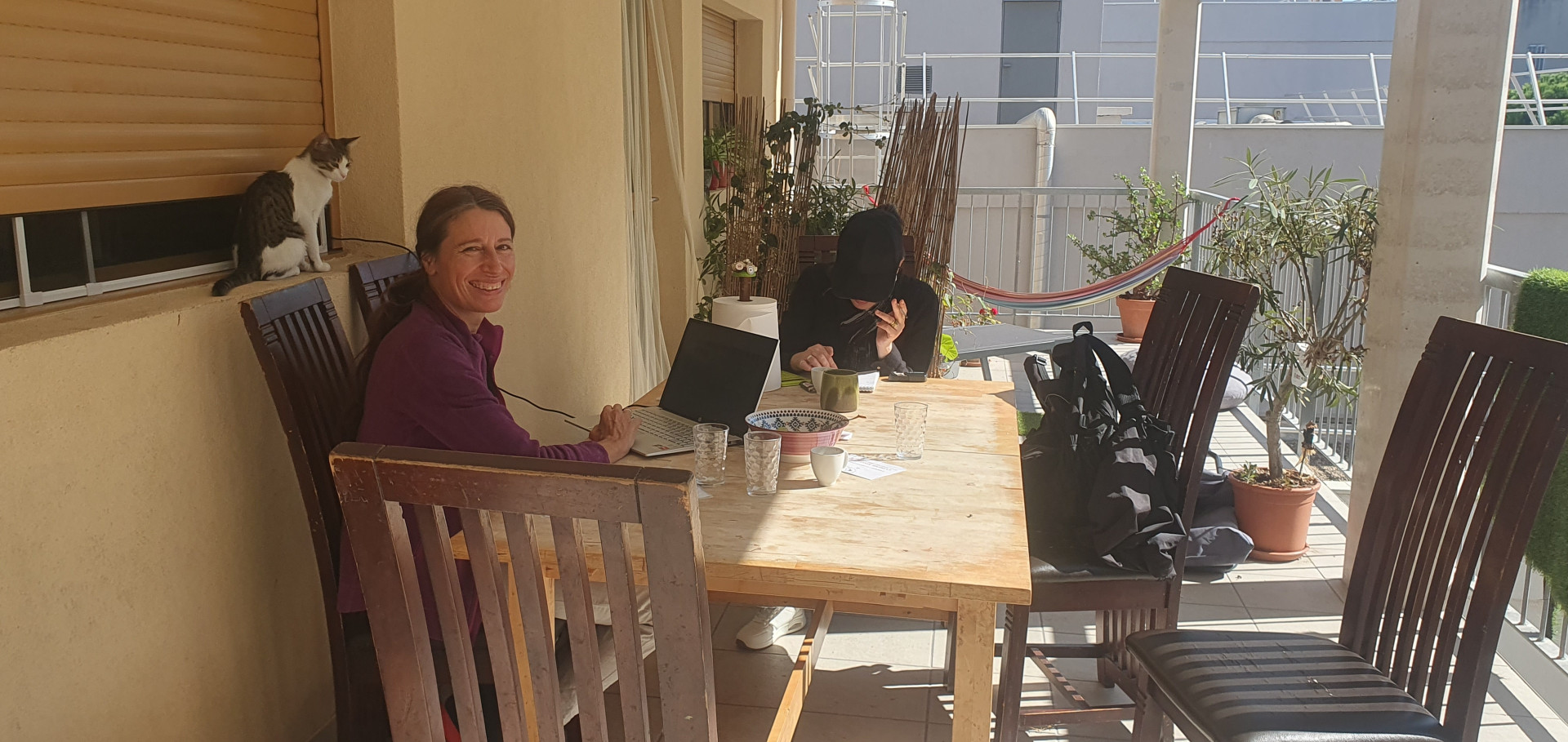 Habitat participatif marseillais : les Habeilles, à jamais le premier