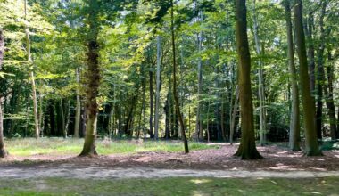 parcs et jardins fermés, collecte des déchets perturbée