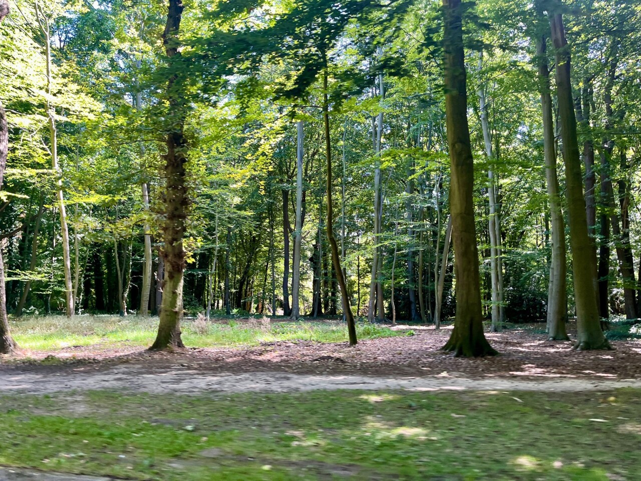 parcs et jardins fermés, collecte des déchets perturbée