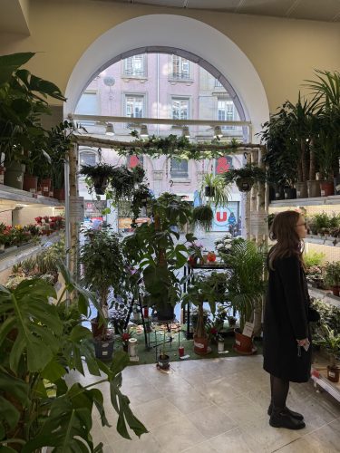 mr bricolage travaux noel 2025IMG_4444