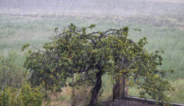 Risque de tempête, "bombe météo"... Un coup de vent violent va toucher la France ce jeudi, ce qui nous attend