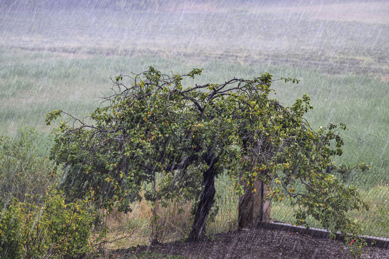 Risque de tempête, "bombe météo"... Un coup de vent violent va toucher la France ce jeudi, ce qui nous attend