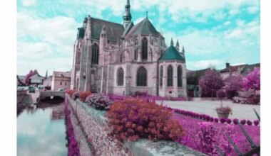 RADIO INTENSITE | NOGENT-LE-ROI - Visite commentée de l’église Saint-Sulpice