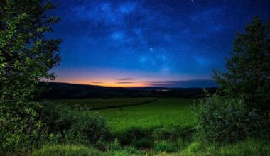 Ciel bleu nuit avec champ vert et horizon doré