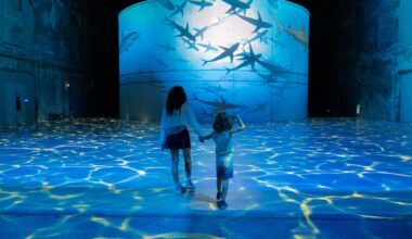 EN IMAGES. Une nouvelle exposition plonge les Bassins des Lumières dans les profondeurs des océans