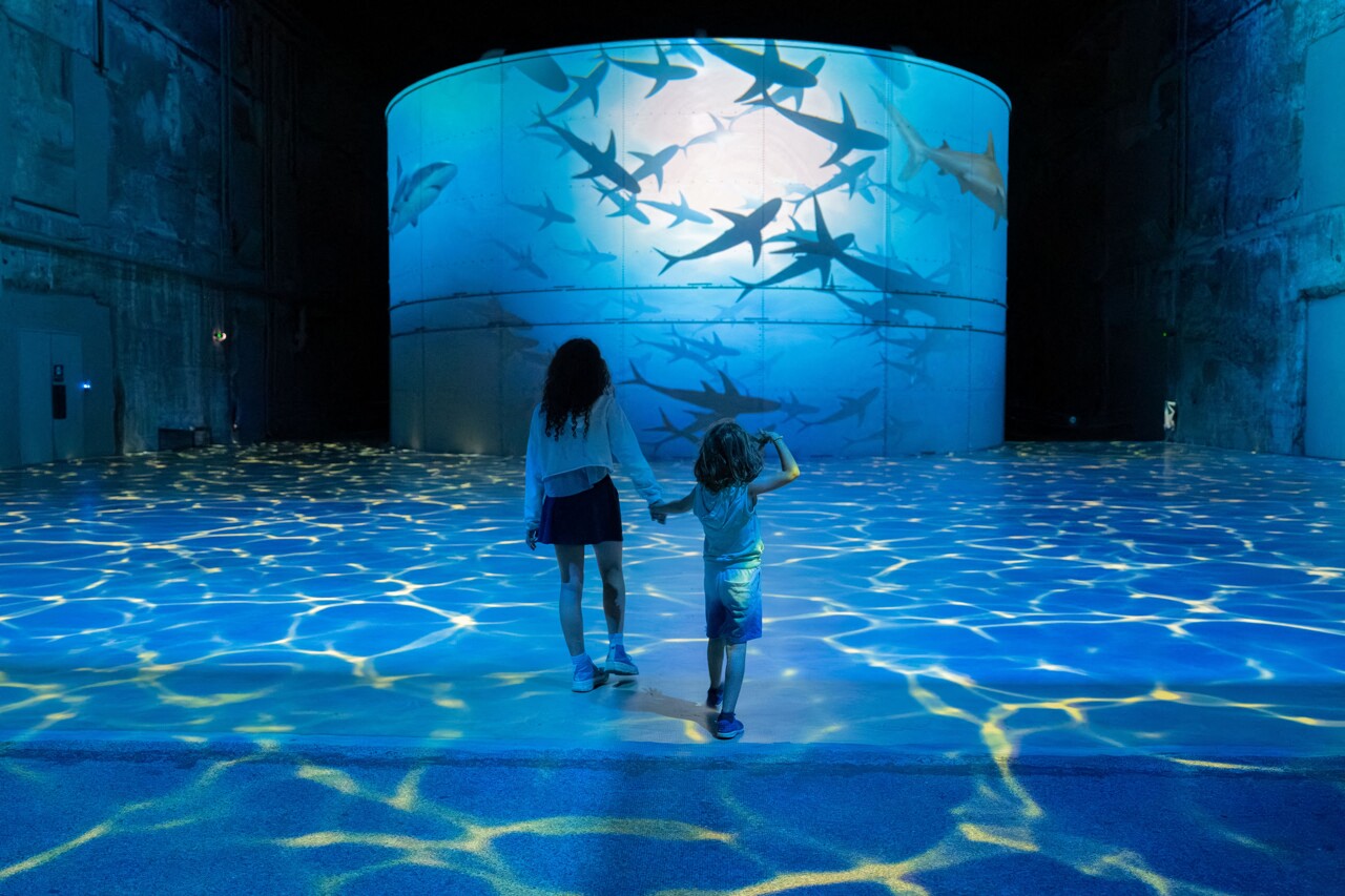 EN IMAGES. Une nouvelle exposition plonge les Bassins des Lumières dans les profondeurs des océans