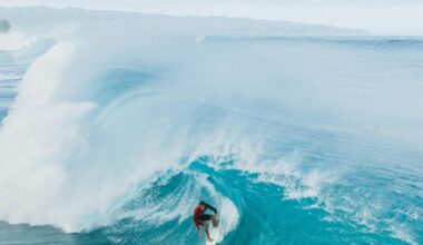 Où en est le projet de surfpark contesté près de Bordeaux ?