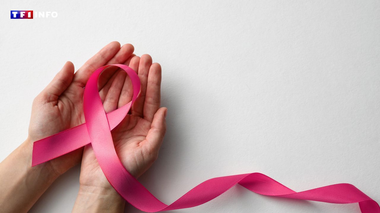 "On se bat pour les personnes malades" : 3 jours de marche en Île-de-France pour lutter contre le cancer du sein