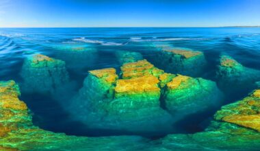 Illustration de structures colossales vieilles de 117 millions d'années découvertes sous l'océan Atlantique.