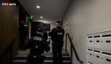 11 kg de stupéfiants saisis, 4 interpellations… Ce que l'on sait sur la vaste opération anti-drogue en cours à Grenoble