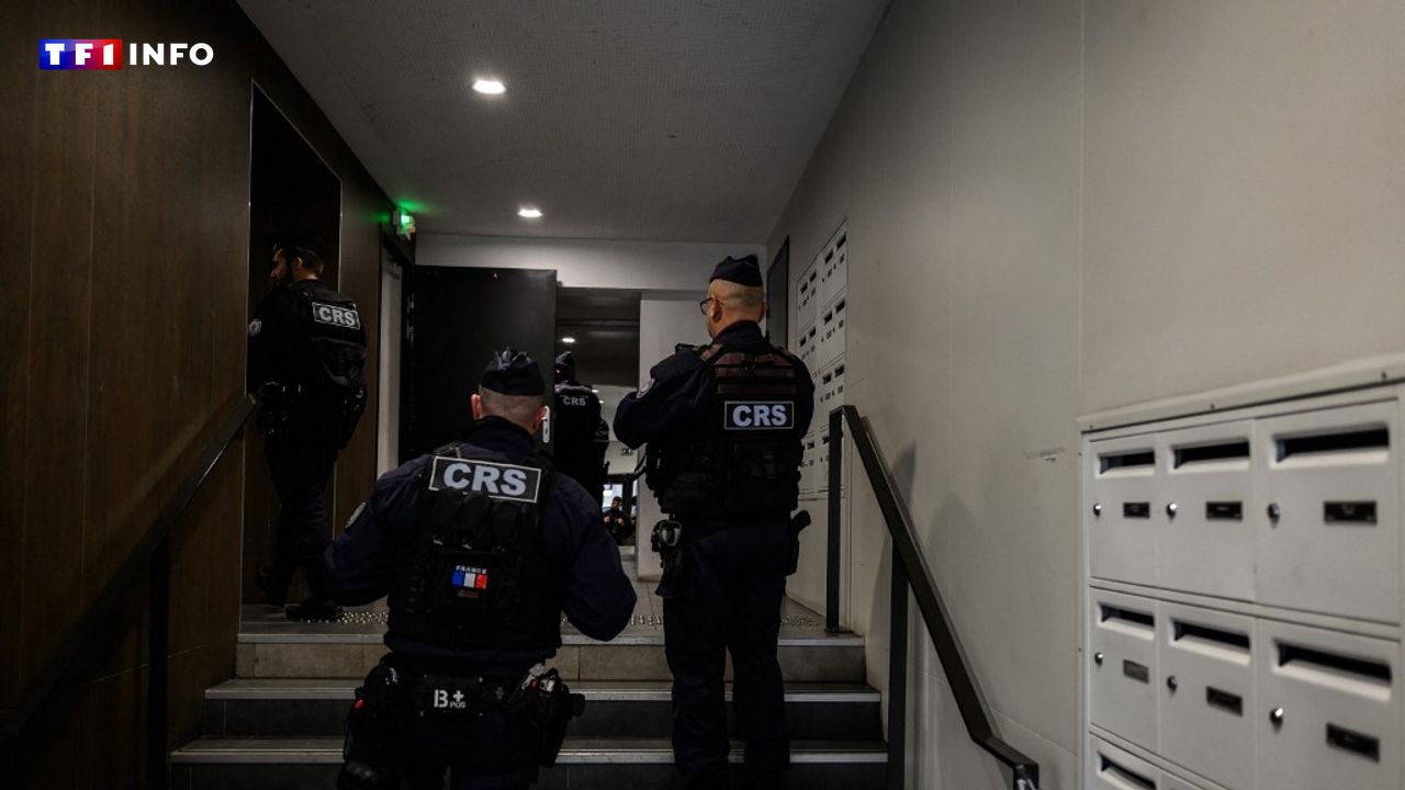 11 kg de stupéfiants saisis, 4 interpellations… Ce que l'on sait sur la vaste opération anti-drogue en cours à Grenoble