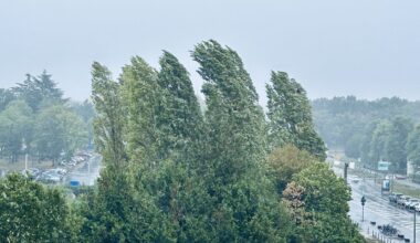 Météo France place l’Essonne en vigilance jaune, voici à quoi s'attendre