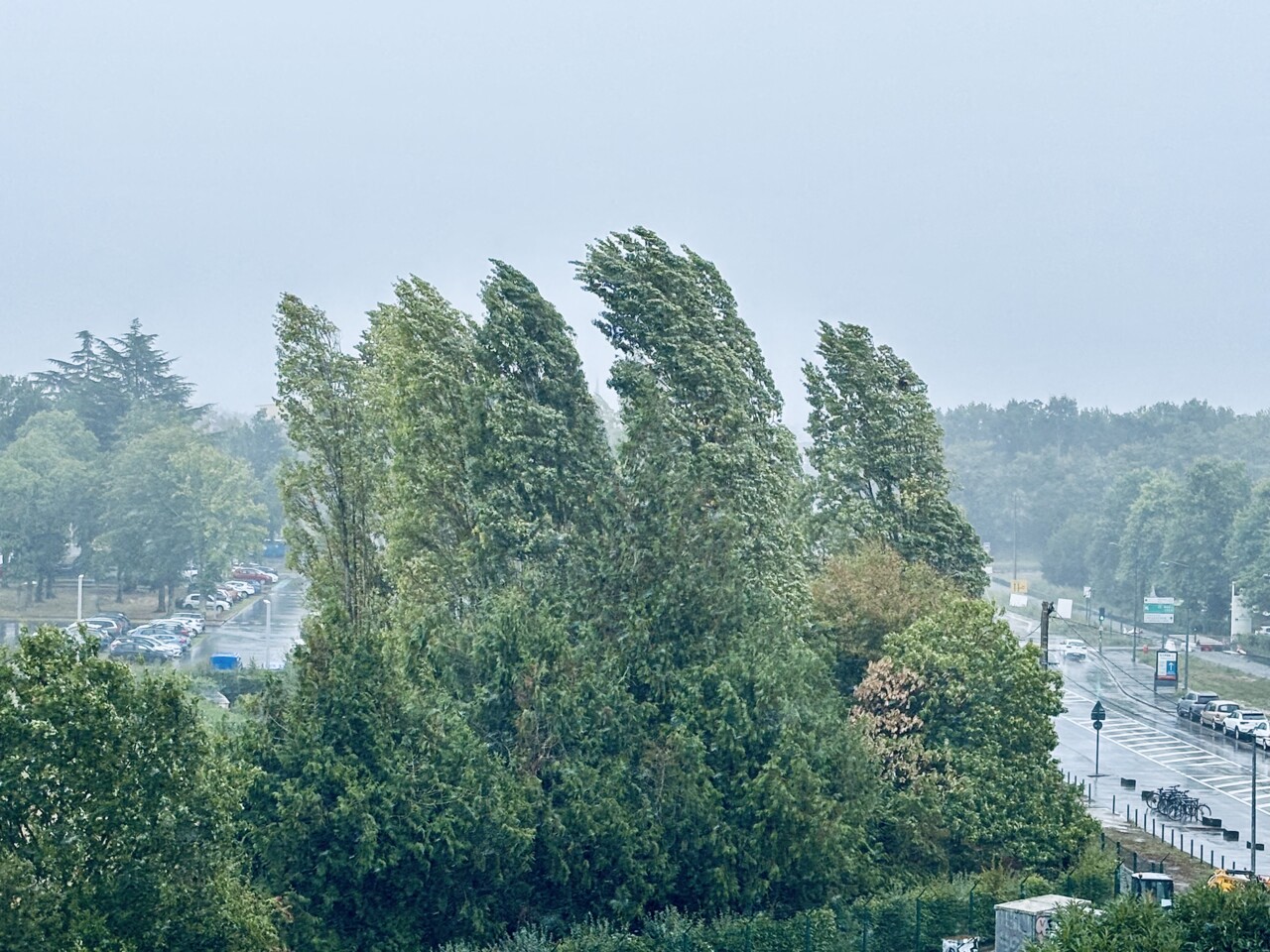 Météo France place l’Essonne en vigilance jaune, voici à quoi s'attendre